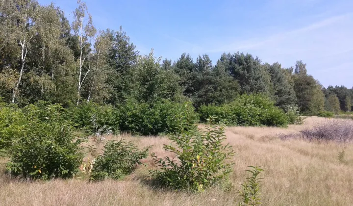 Działka budowlana Józefów Kolonia Błota, ul. Nadwiślańska