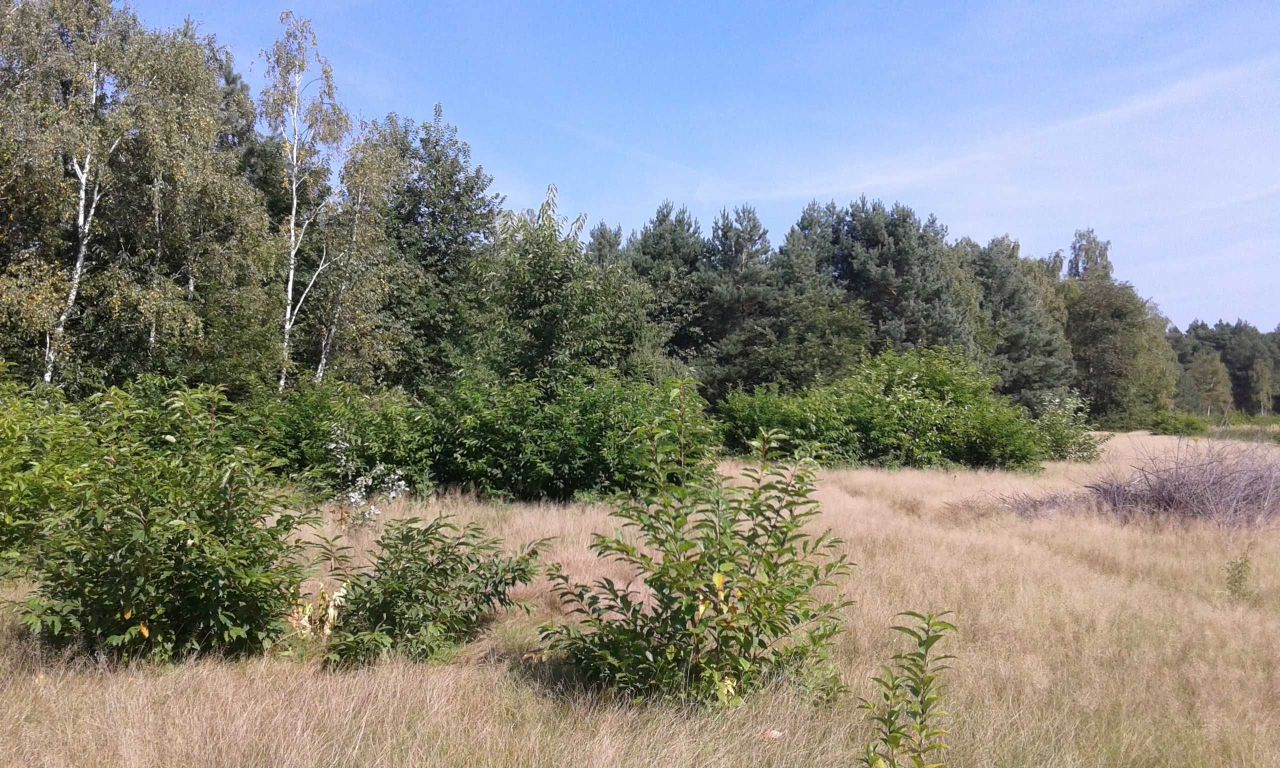 Działka budowlana Józefów Kolonia Błota, ul. Nadwiślańska. Zdjęcie 1