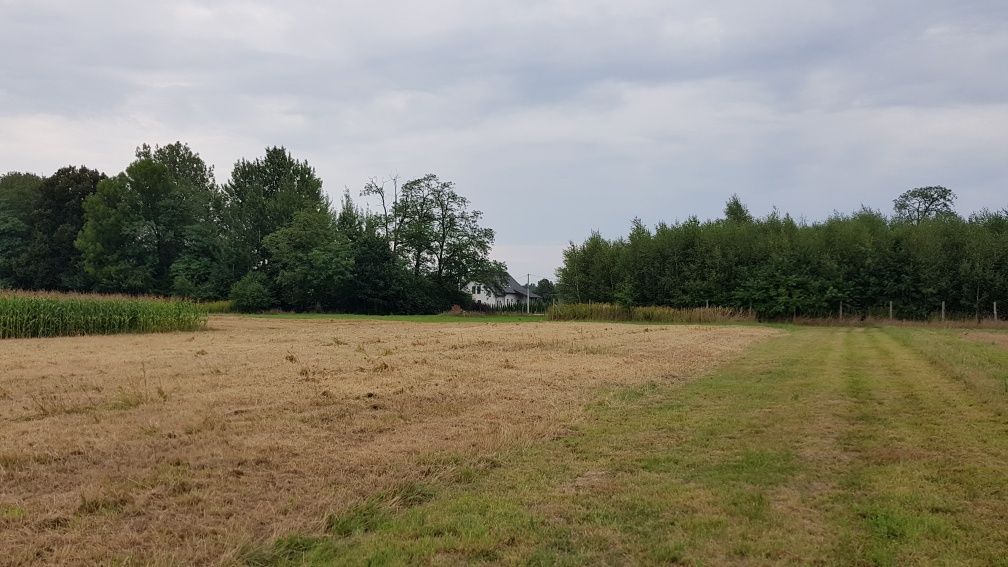 Działka budowlana Paszczyna. Zdjęcie 3