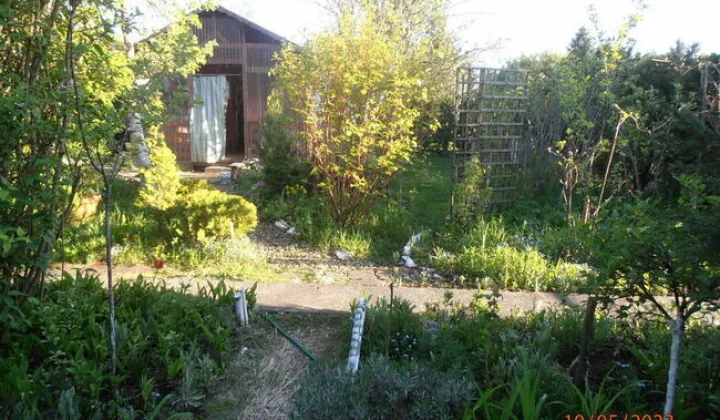 Działka rod Łódź Retkinia, ul. Franciszka Plocka