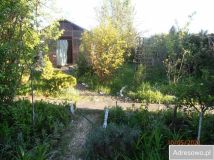 Działka rod Łódź Retkinia, ul. Franciszka Plocka