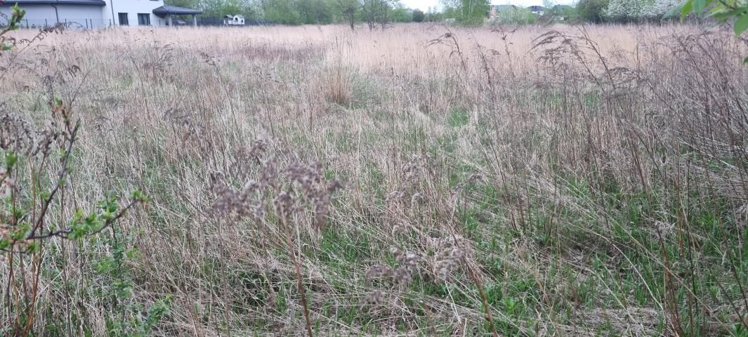 Działka budowlana Kręczki. Zdjęcie 6