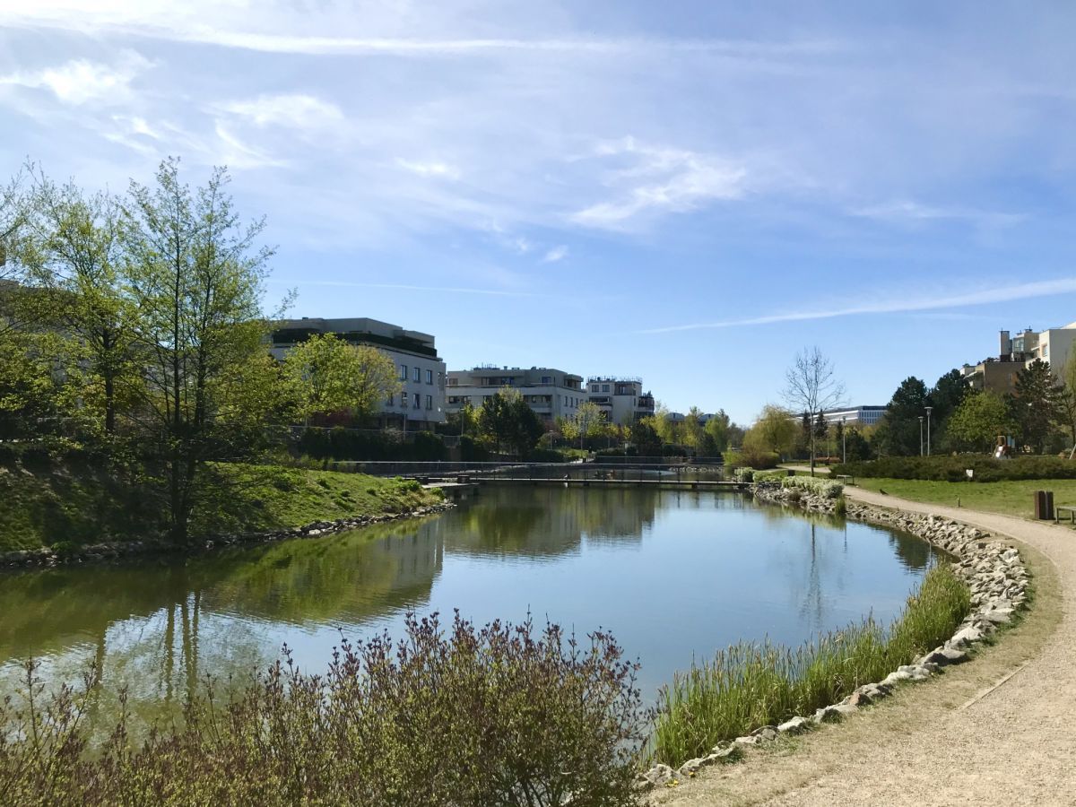 Mieszkanie 1-pokojowe Warszawa Mokotów, ul. Rajska. Zdjęcie 11