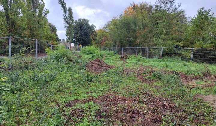 Działka budowlana Gubin, ul. Piastowska