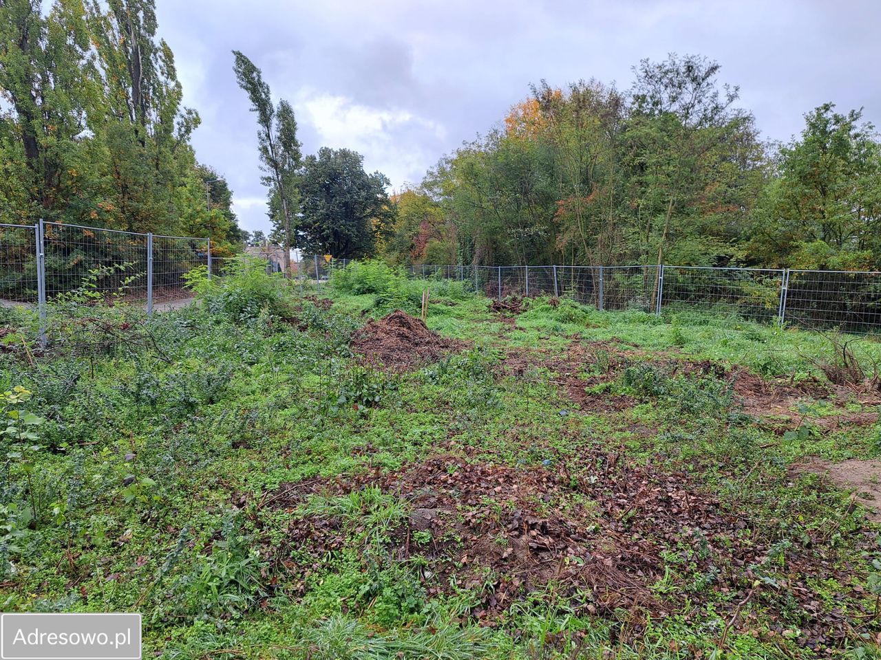 Działka budowlana Gubin, ul. Piastowska. Zdjęcie 1