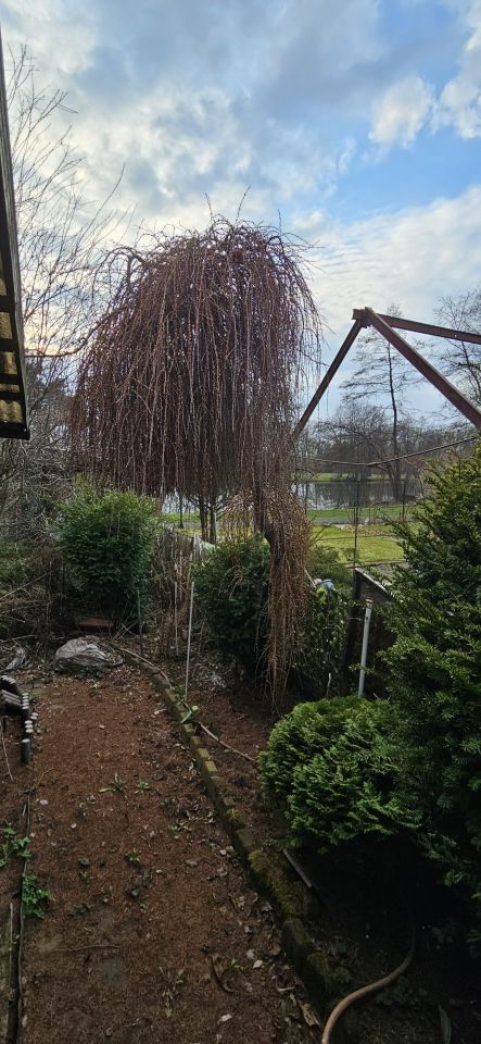 Działka rod Odrano-Wola, ul. Niedźwiedzia. Zdjęcie 3