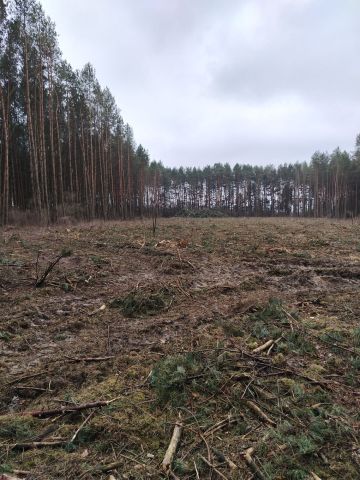Działka rolna Arbasy Duże. Zdjęcie 1