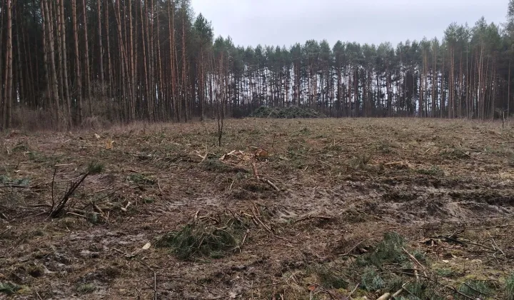 Działka rolna Arbasy Duże
