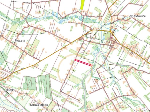 Działka siedliskowa Tomaszowice-Kolonia. Zdjęcie 8