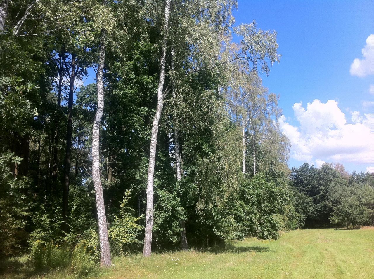 Działka budowlana Trzcianka. Zdjęcie 10