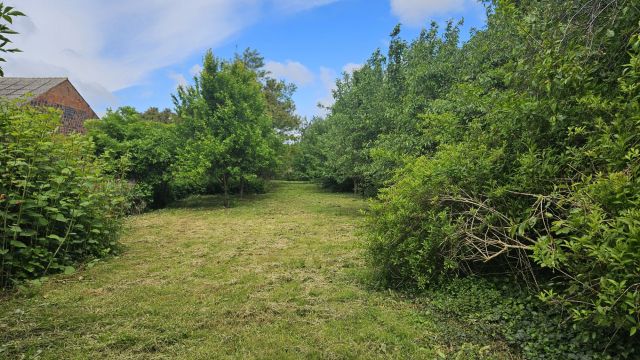 Działka rolno-budowlana Strumiany. Zdjęcie 1