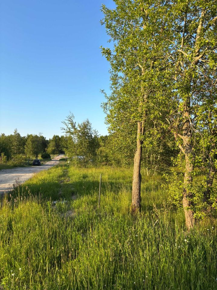 Działka budowlana Pomlewo. Zdjęcie 4