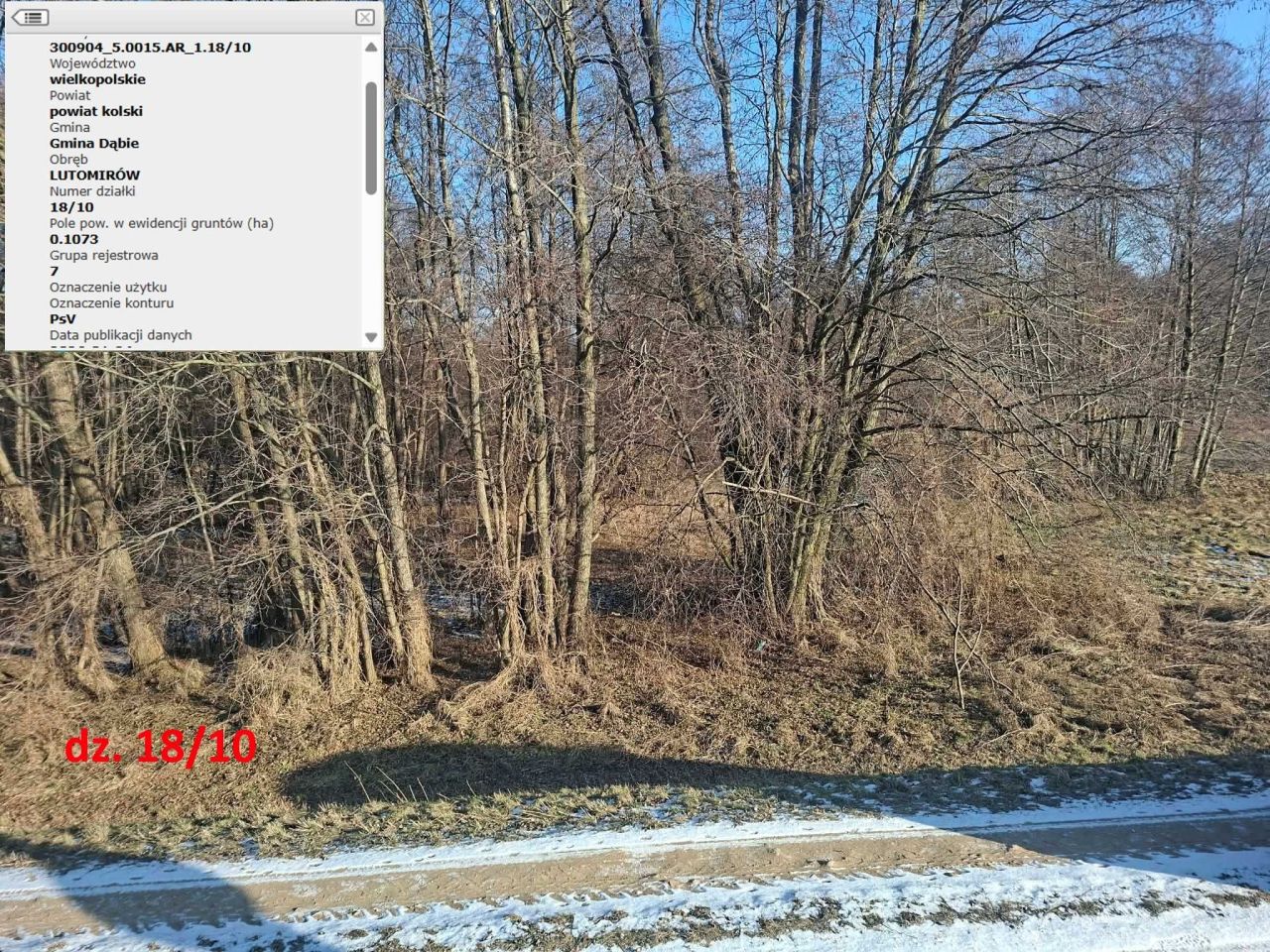 Działka rolna Chełmno. Zdjęcie 3