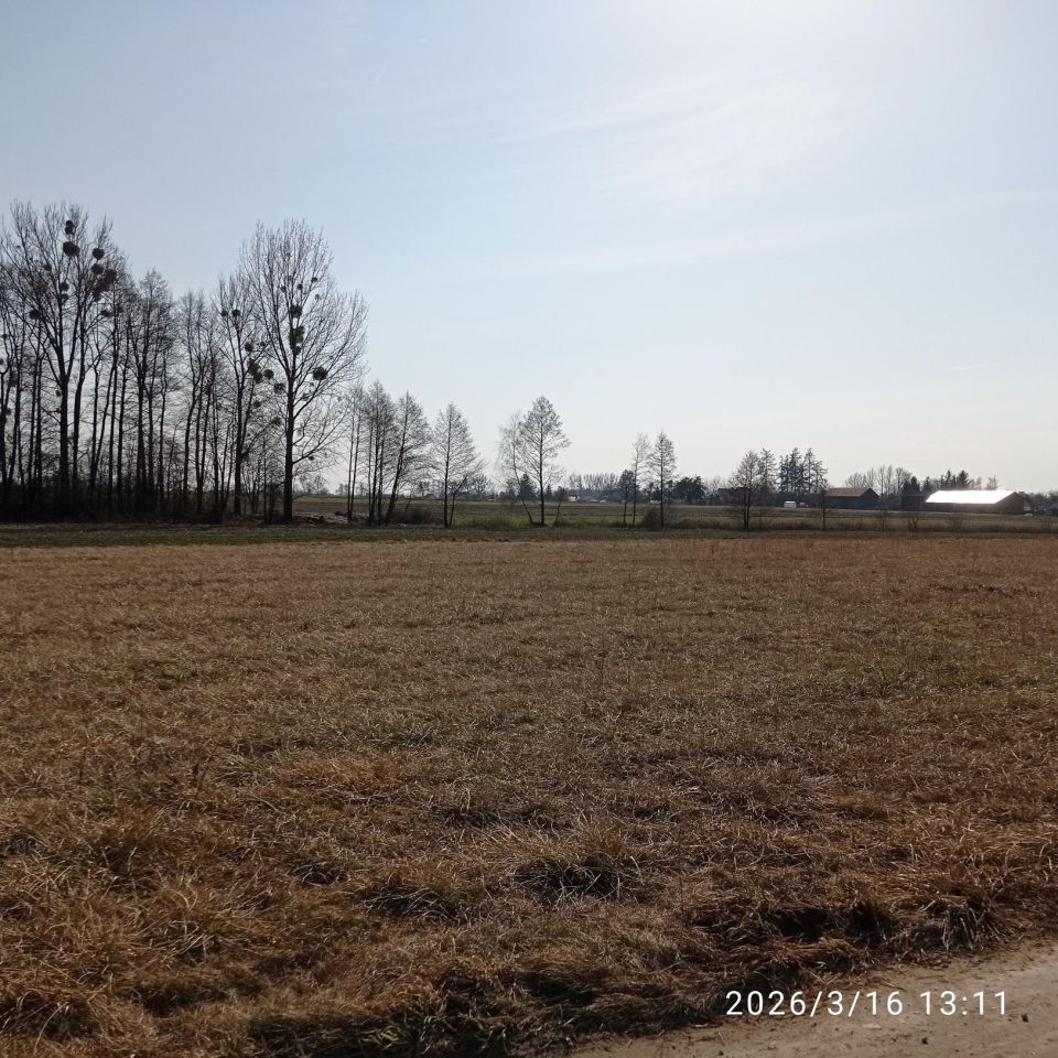 Działka budowlana Pająków. Zdjęcie 9