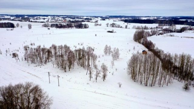 Działka budowlana Kozin. Zdjęcie 13