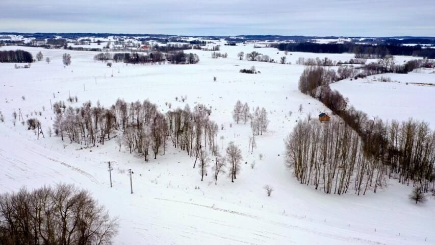 Działka budowlana Kozin. Zdjęcie 13