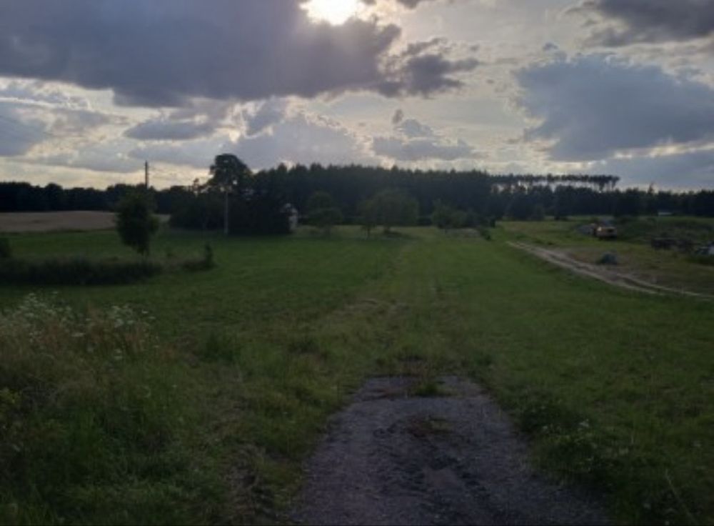 Działka siedliskowa Żalno. Zdjęcie 6