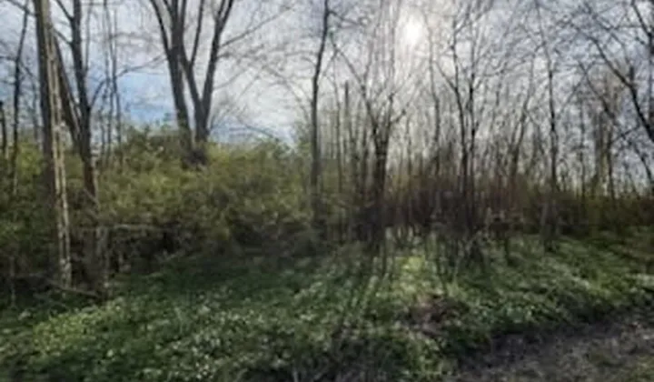 Działka rolno-budowlana Kwiatkowice-Kolonia