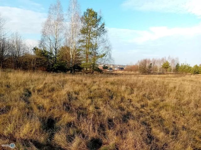 Działka inwestycyjna Daleszyce. Zdjęcie 4