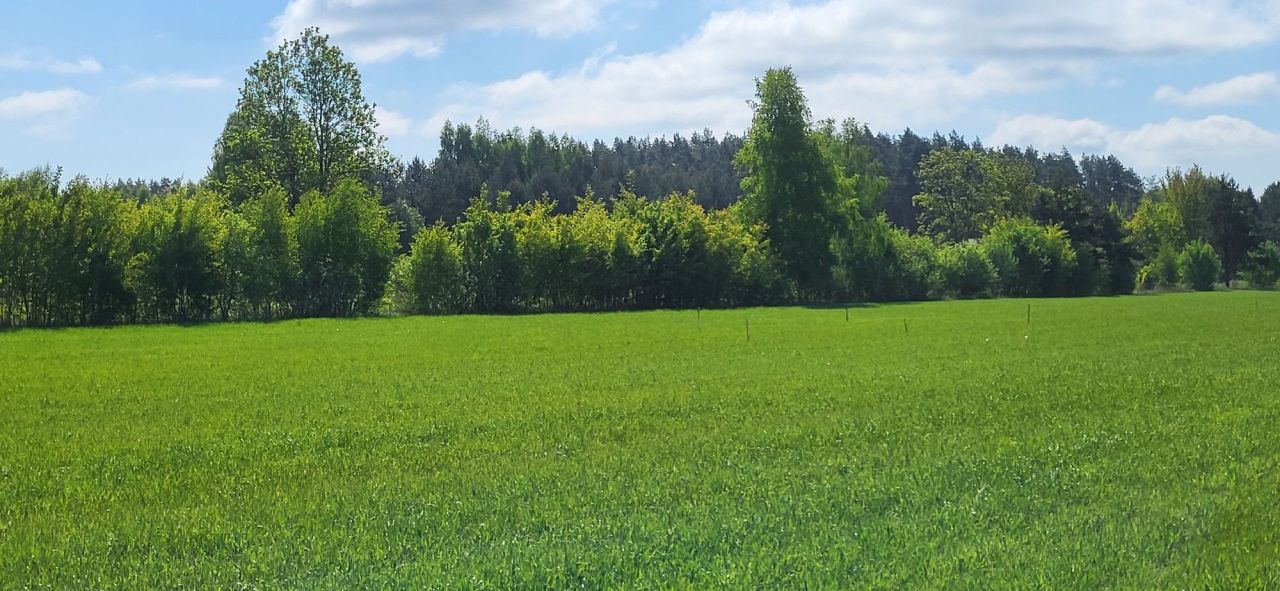 Działka budowlana Pomigacze. Zdjęcie 3