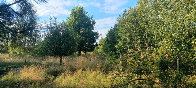 Działka budowlana Stara Niedziałka, ul. Mazowiecka. Zdjęcie 1