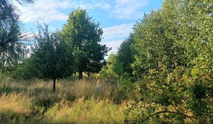 Działka budowlana Stara Niedziałka, ul. Mazowiecka