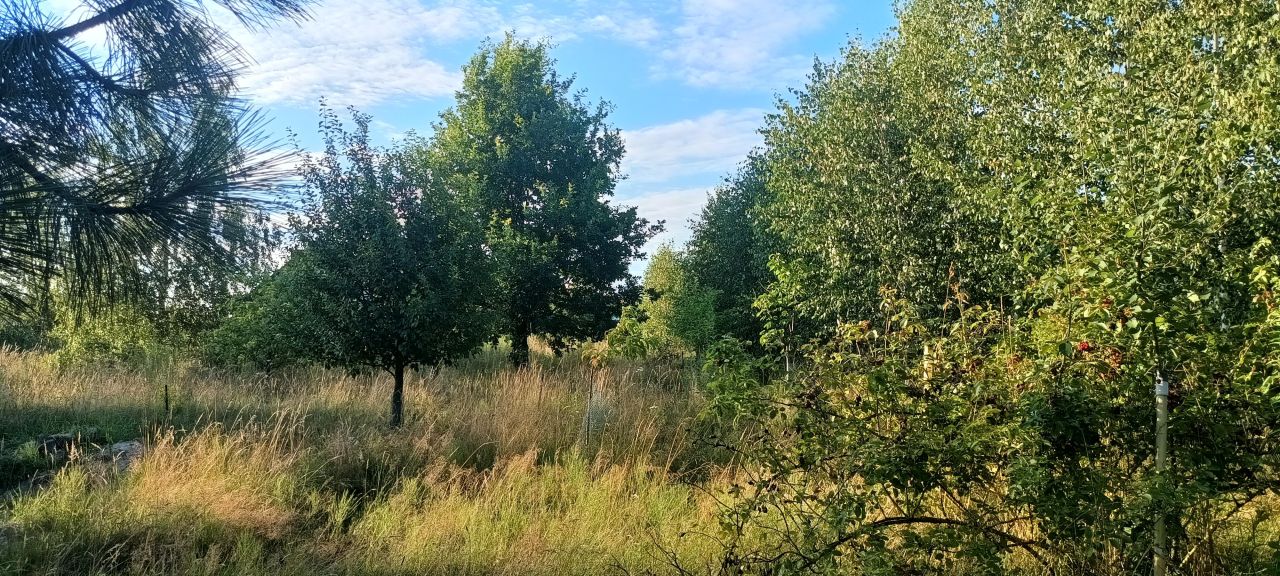 Działka budowlana Stara Niedziałka, ul. Mazowiecka. Zdjęcie 1