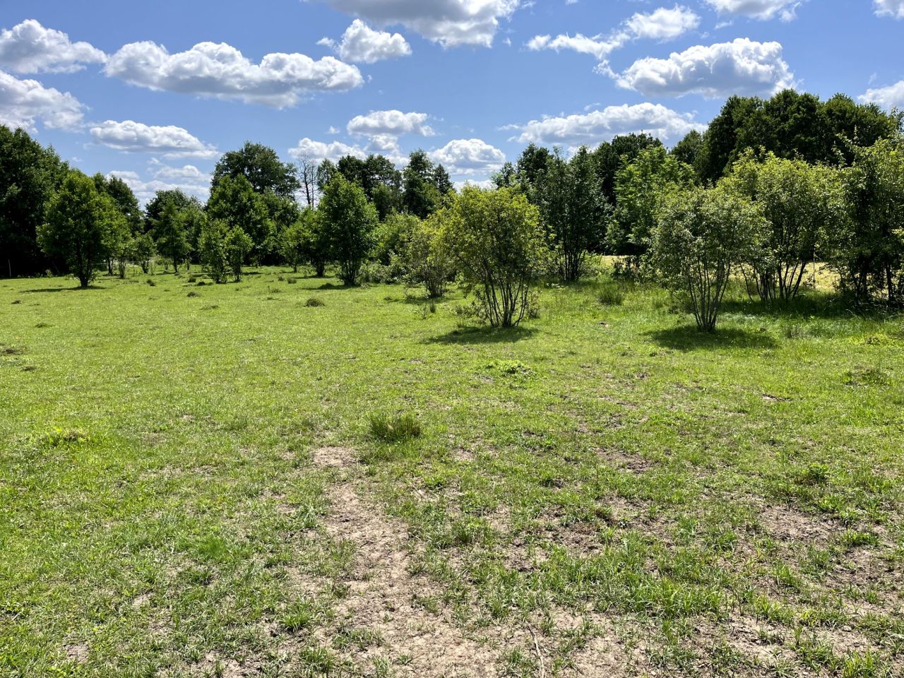 Działka rolno-budowlana Trzebuska. Zdjęcie 8