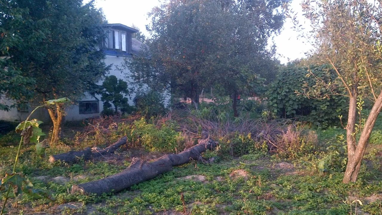 Działka siedliskowa Smugi. Zdjęcie 2