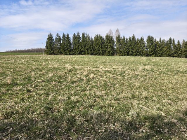 Działka budowlana Pępice Doły Pępickie, Działka budowlana Porzecze, Miedziana góra,Barania Góra. Zdjęcie 4