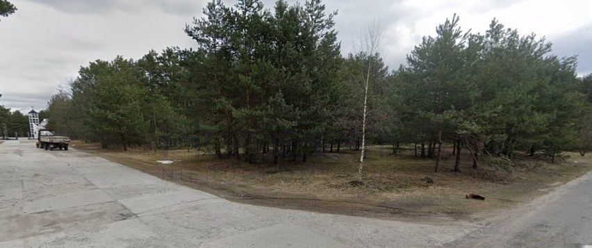 Działka leśna Rudnik nad Sanem, ul. Kończycka. Zdjęcie 2