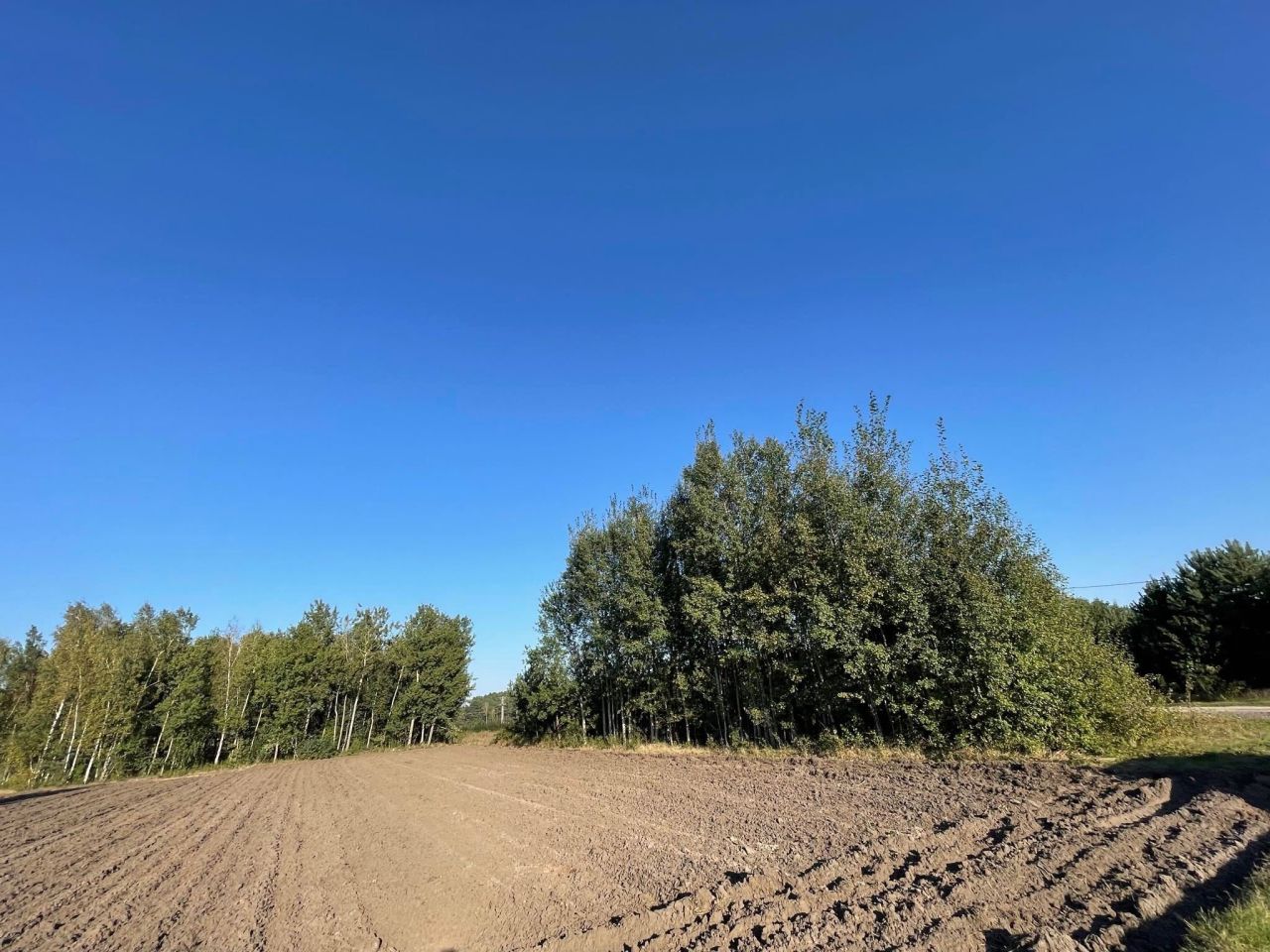 Działka budowlana Przespolew Pański Odpadki. Zdjęcie 3