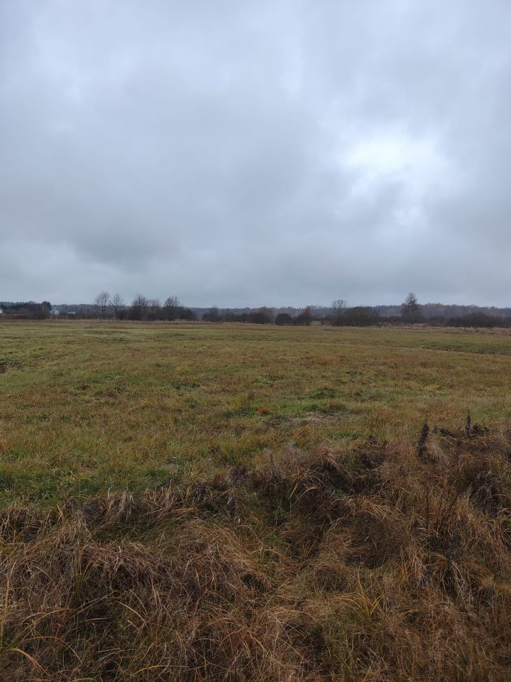 Działka rolna Lewkowo Stare. Zdjęcie 2