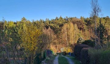 Działka rod Wilkanowo