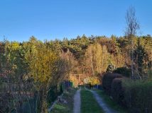 Działka rod Wilkanowo. Zdjęcie 1