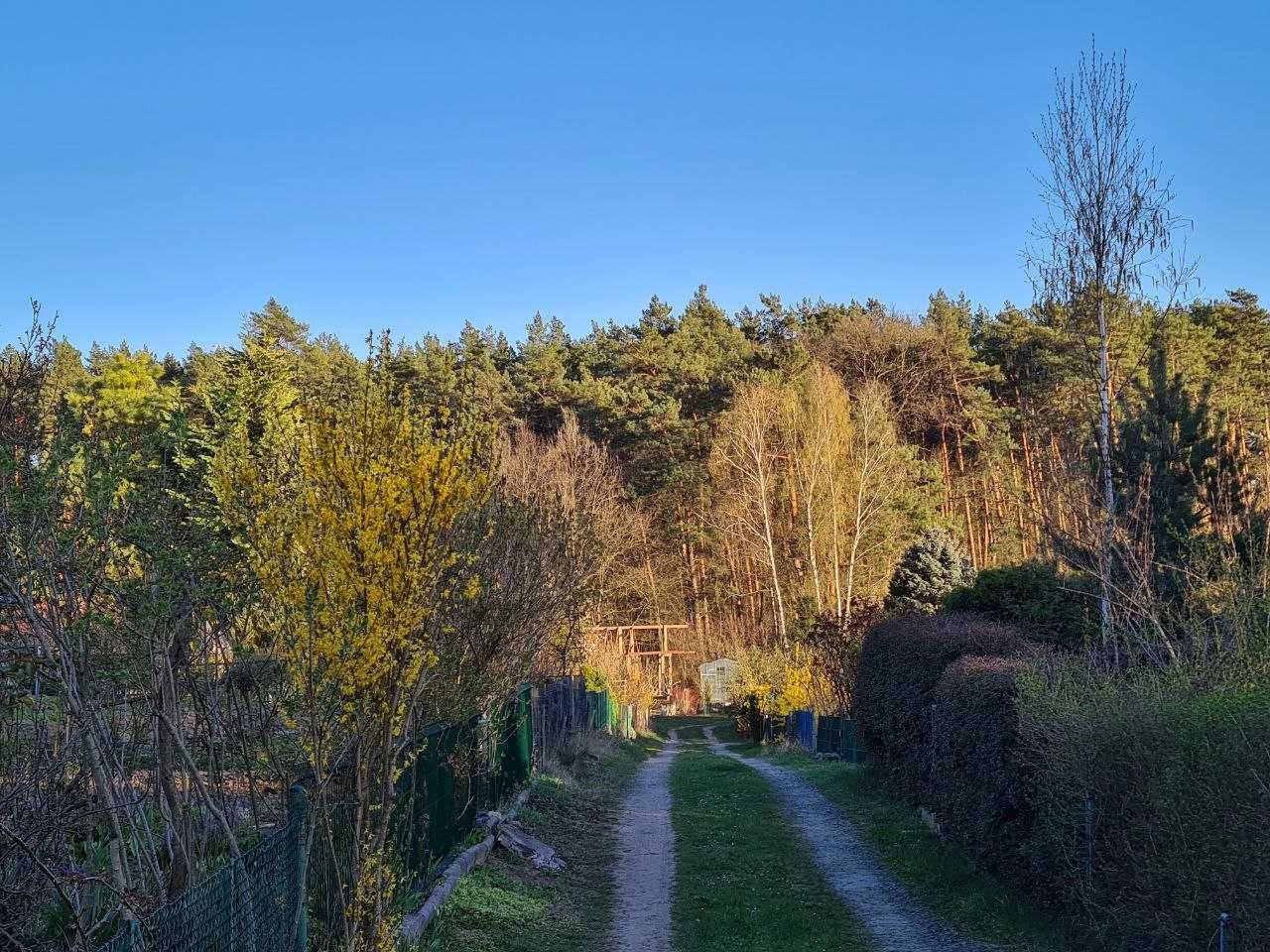 Działka rod Wilkanowo. Zdjęcie 2