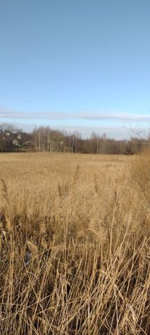 Działka rolna Koźmice Małe. Zdjęcie 1