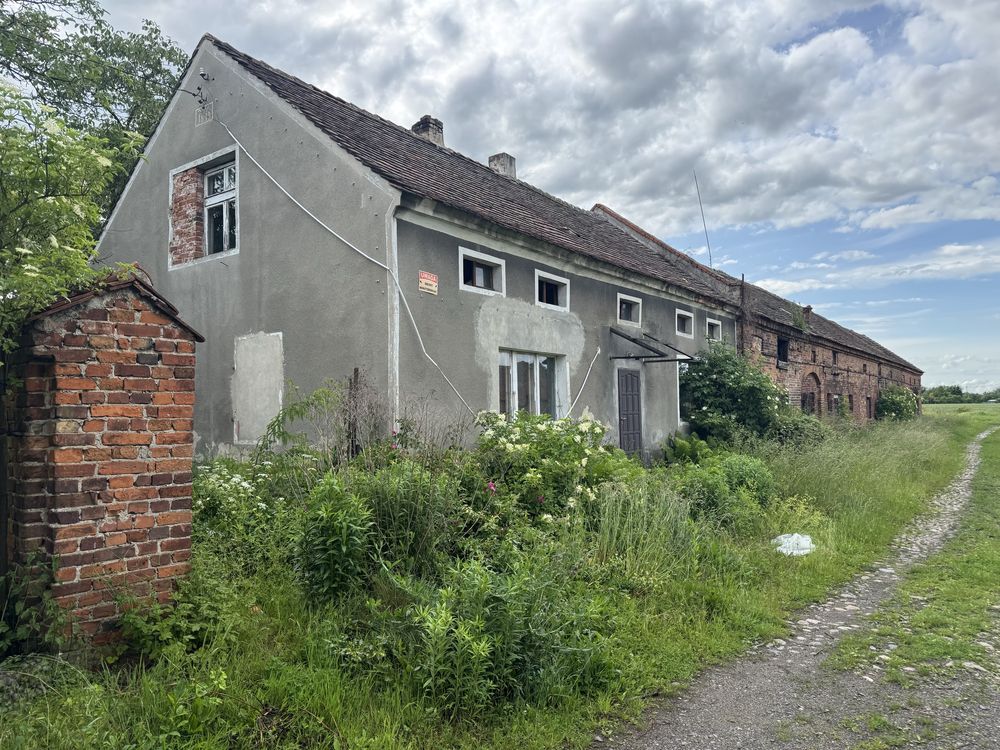 gospodarstwo Szprotawa, ul. Kopernika. Zdjęcie 3