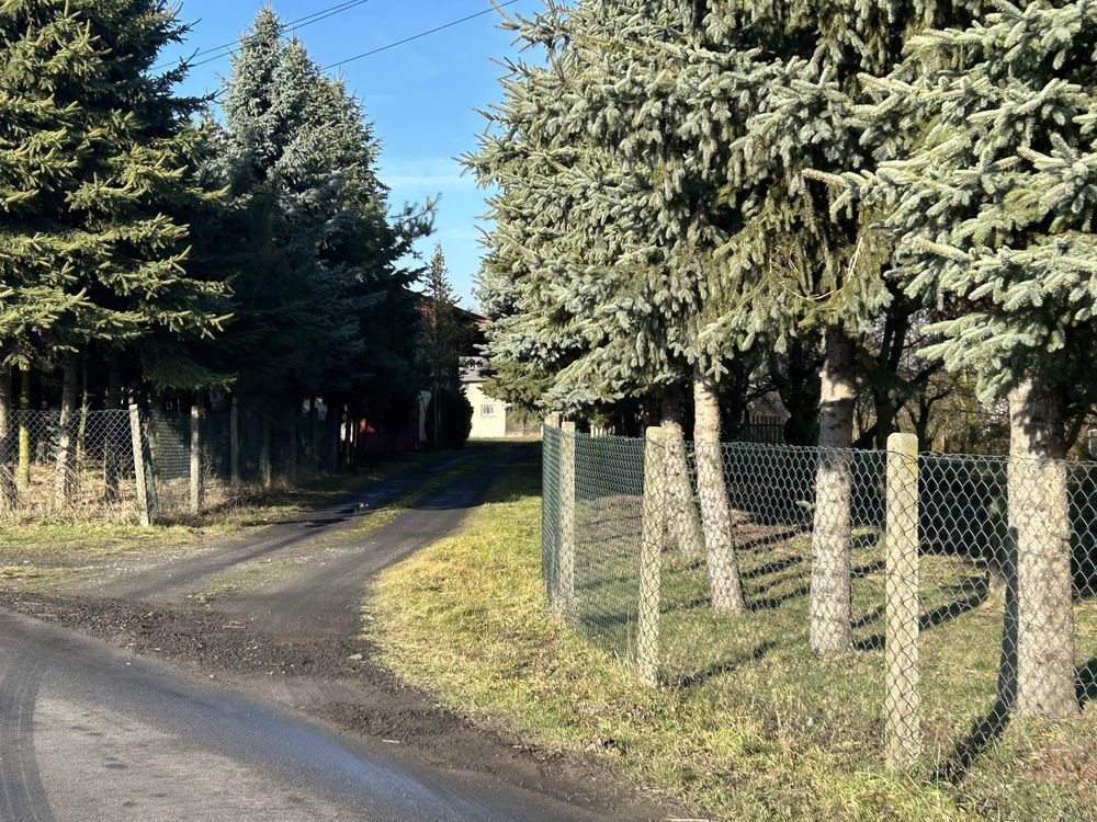 gospodarstwo Domaniew. Zdjęcie 3