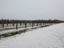 Działka budowlana Stok Lacki. Zdjęcie 1