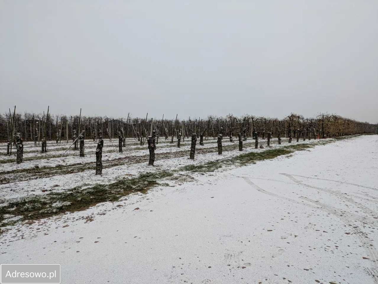 Działka budowlana Stok Lacki. Zdjęcie 2