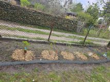 Działka rod Warszawa. Zdjęcie 2