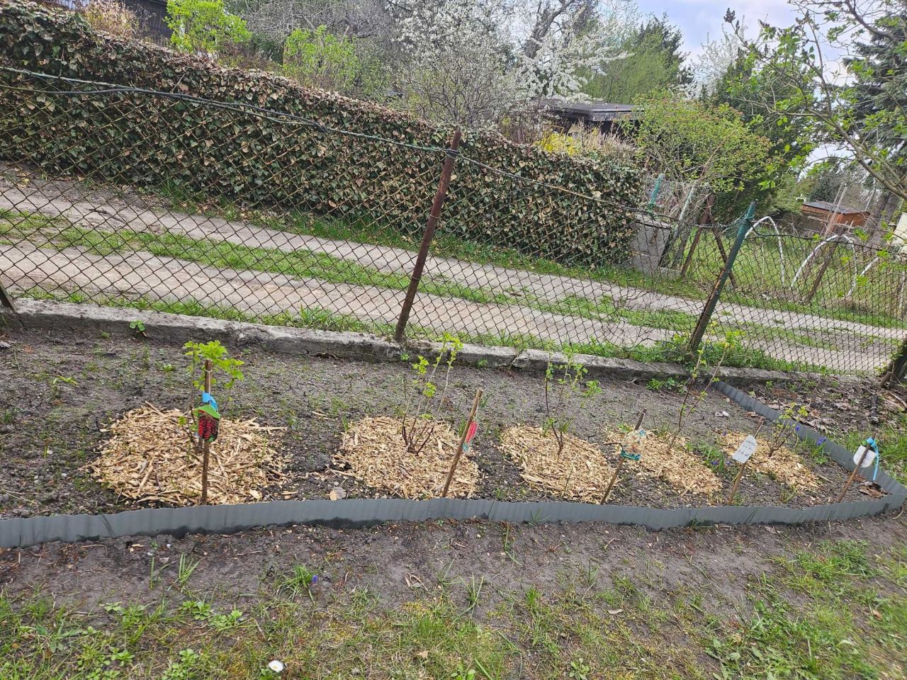 Działka rod Warszawa. Zdjęcie 3