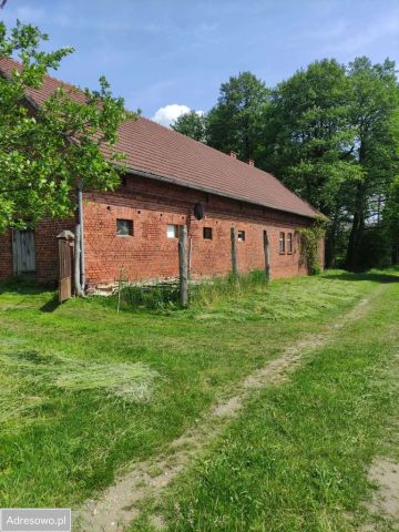 Działka rolna Osiecko. Zdjęcie 1