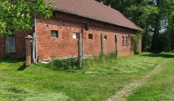 Działka rolna Osiecko