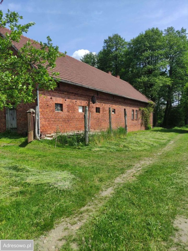 Działka rolna Osiecko. Zdjęcie 1