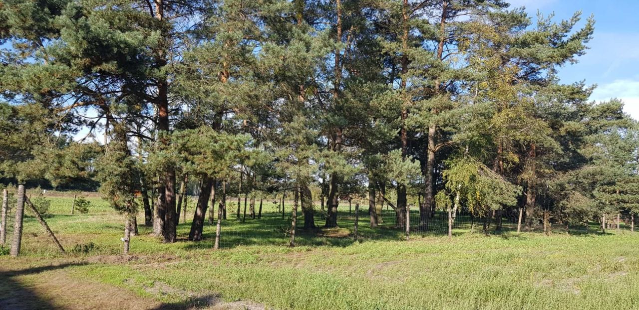 Działka budowlana Szydłów. Zdjęcie 4
