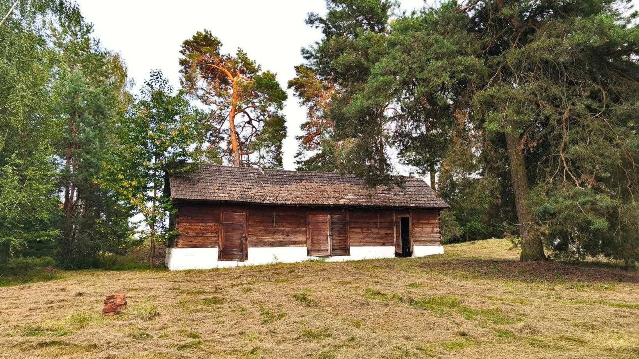Działka siedliskowa Granne. Zdjęcie 6