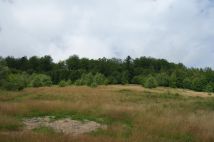 Działka inwestycyjna Brenna Leśnica, ul. Orłowa. Zdjęcie 3