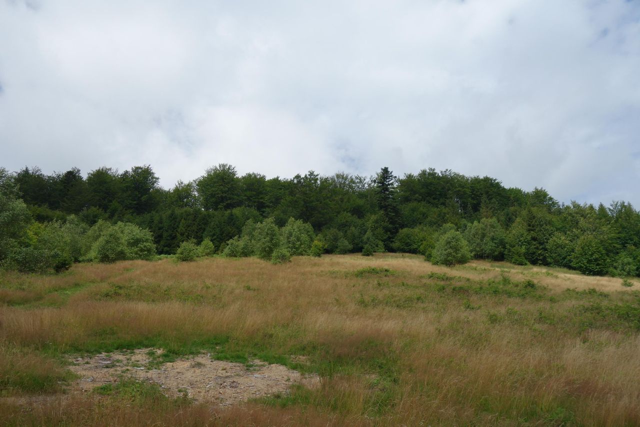 Działka inwestycyjna Brenna Leśnica, ul. Orłowa. Zdjęcie 4